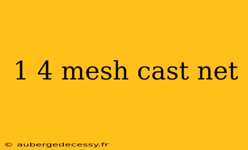 1 4 mesh cast net