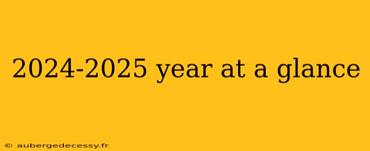 2024-2025 year at a glance