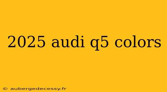 2025 audi q5 colors