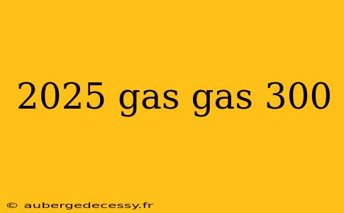 2025 gas gas 300