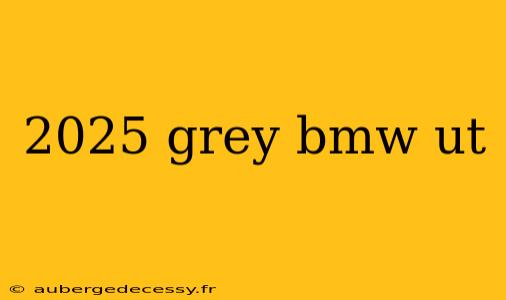 2025 grey bmw ut