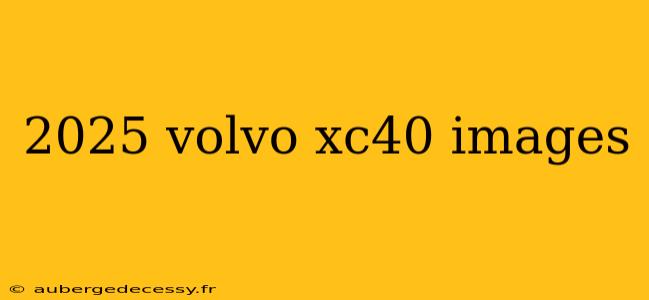 2025 volvo xc40 images