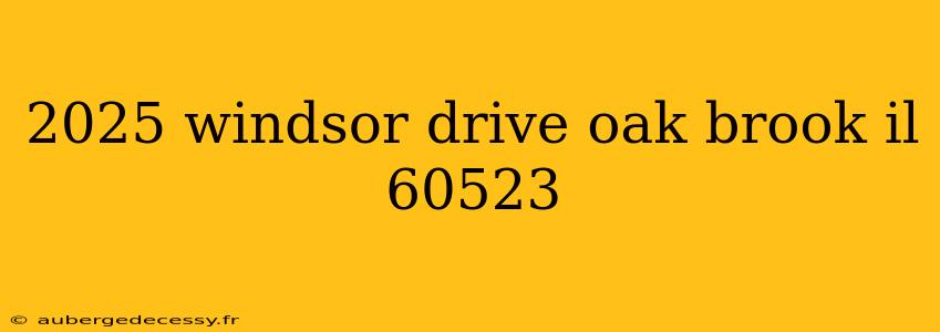 2025 windsor drive oak brook il 60523