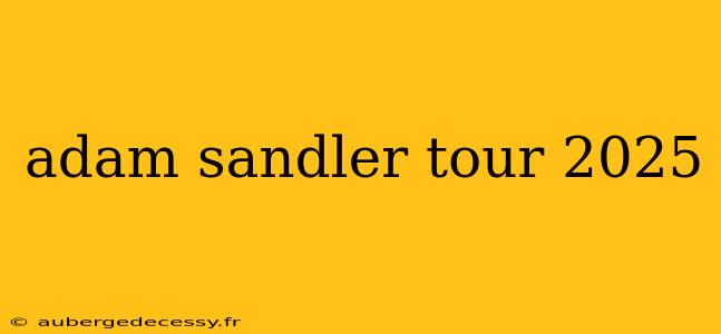 adam sandler tour 2025