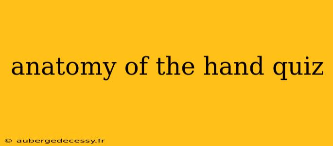 anatomy of the hand quiz