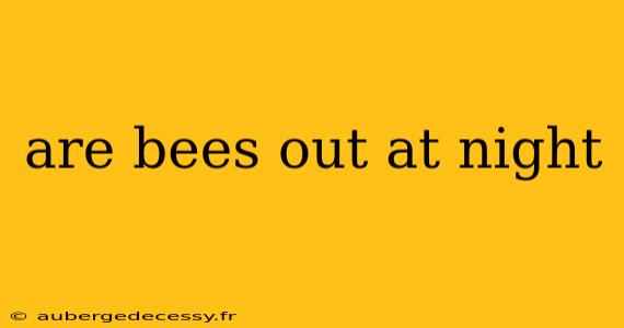 are bees out at night