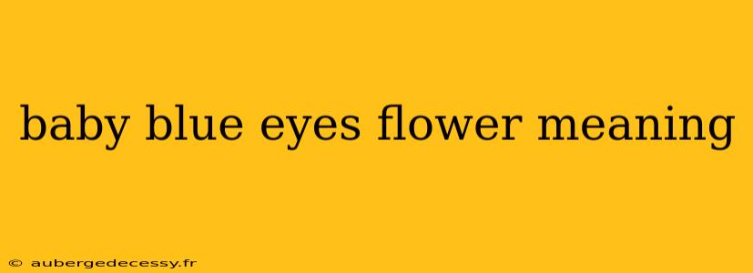 baby blue eyes flower meaning