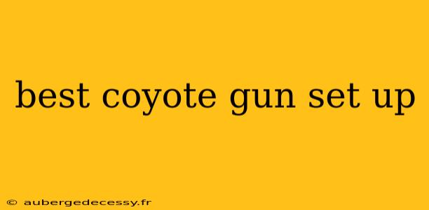 best coyote gun set up