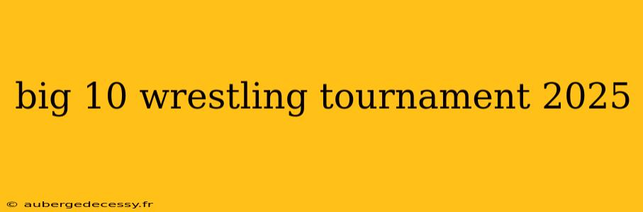 big 10 wrestling tournament 2025