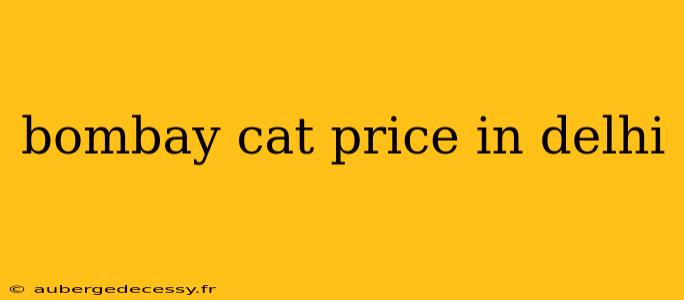 bombay cat price in delhi