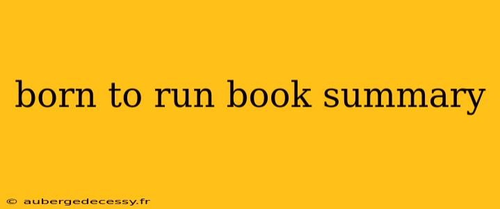 born to run book summary