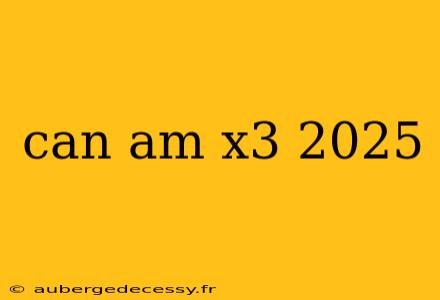 can am x3 2025