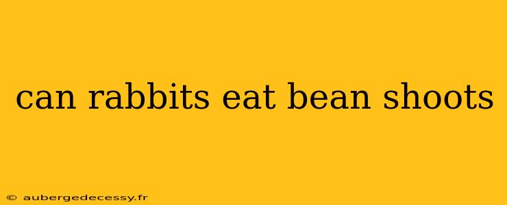 can rabbits eat bean shoots