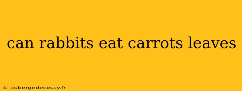 can rabbits eat carrots leaves