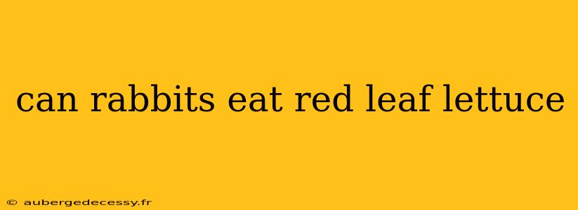 can rabbits eat red leaf lettuce