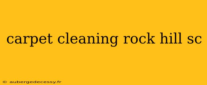 carpet cleaning rock hill sc