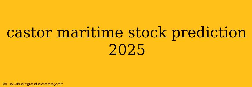 castor maritime stock prediction 2025