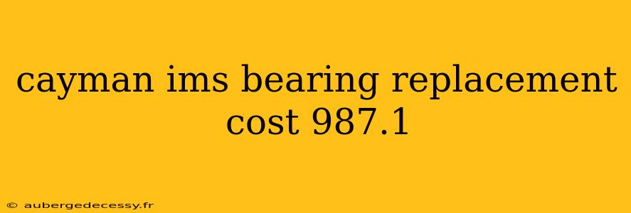 cayman ims bearing replacement cost 987.1