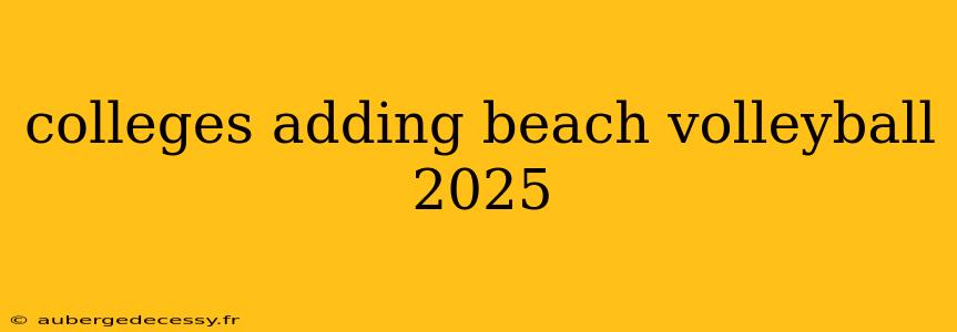 colleges adding beach volleyball 2025