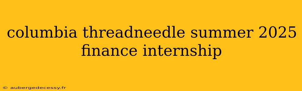 columbia threadneedle summer 2025 finance internship