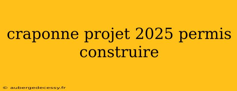 craponne projet 2025 permis construire