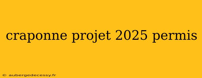 craponne projet 2025 permis