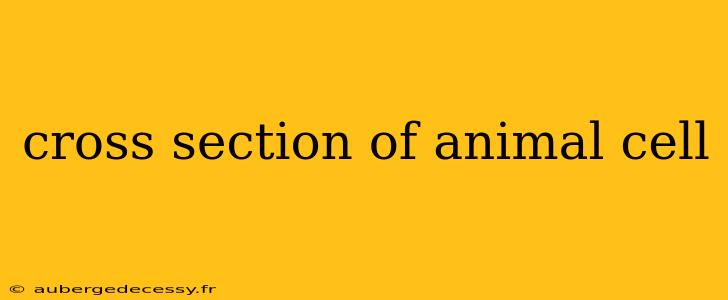 cross section of animal cell