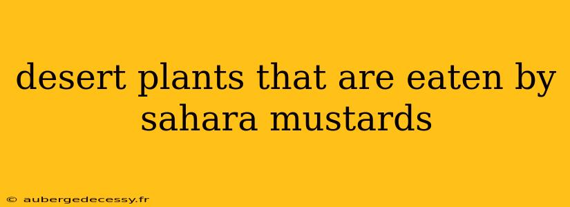 desert plants that are eaten by sahara mustards