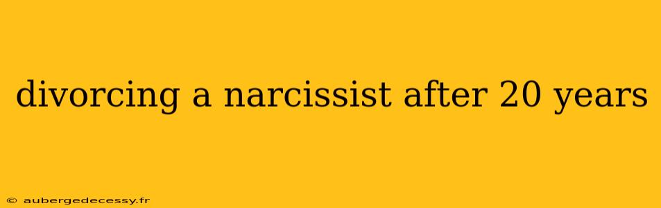 divorcing a narcissist after 20 years