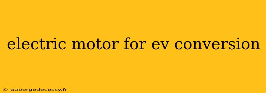 electric motor for ev conversion