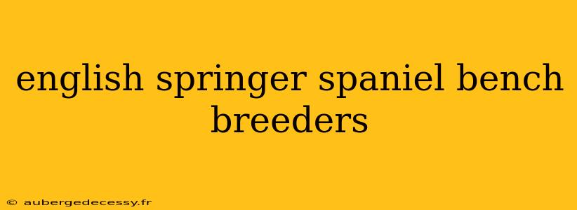 english springer spaniel bench breeders