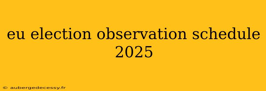 eu election observation schedule 2025