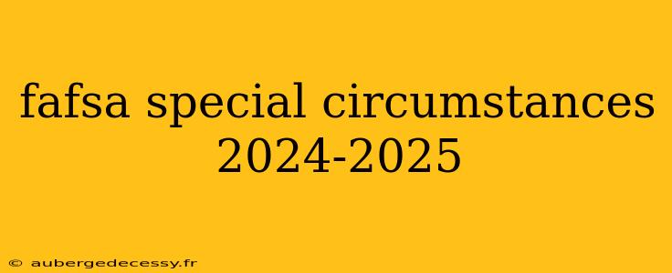 fafsa special circumstances 2024-2025