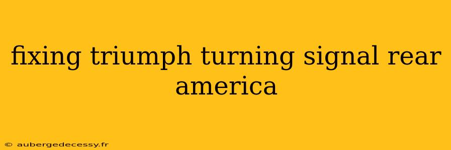 fixing triumph turning signal rear america