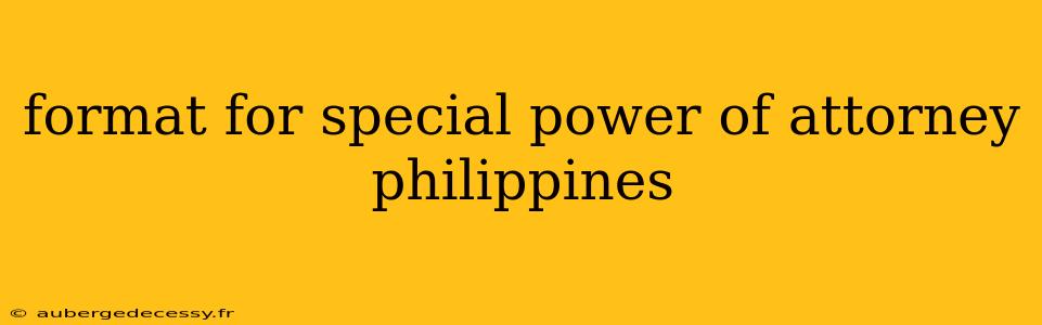 format for special power of attorney philippines