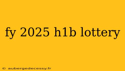 fy 2025 h1b lottery