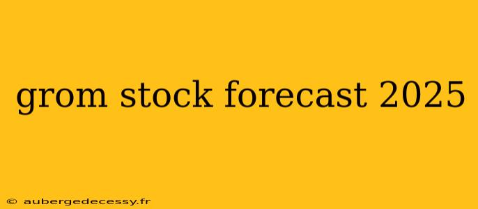 grom stock forecast 2025