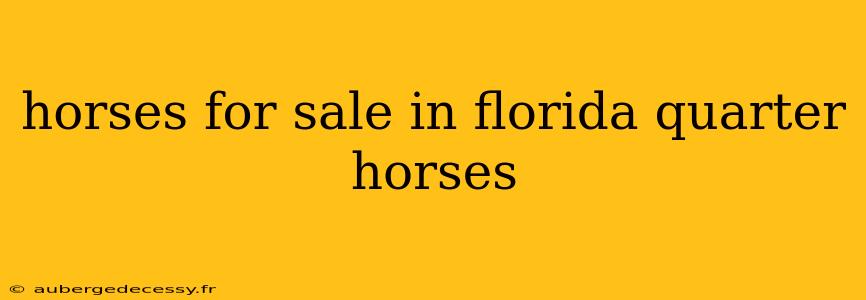 horses for sale in florida quarter horses