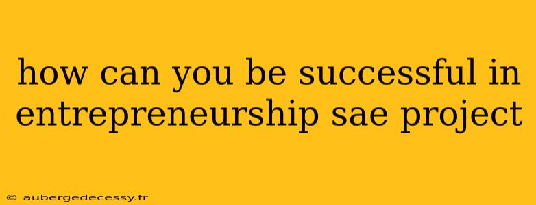 how can you be successful in entrepreneurship sae project