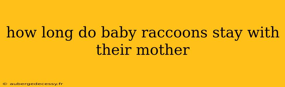 how long do baby raccoons stay with their mother