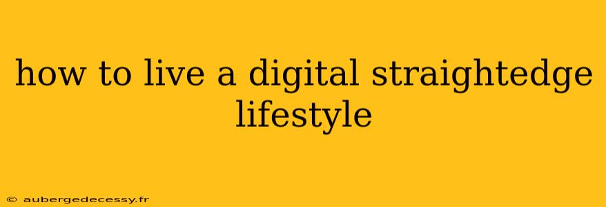 how to live a digital straightedge lifestyle