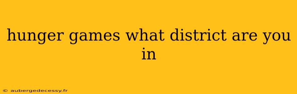 hunger games what district are you in