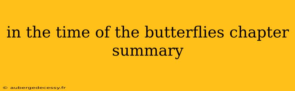 in the time of the butterflies chapter summary