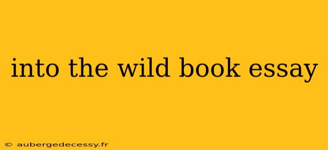 into the wild book essay