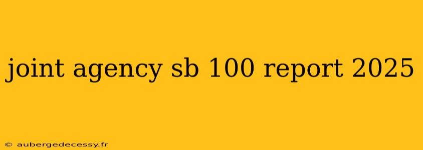 joint agency sb 100 report 2025