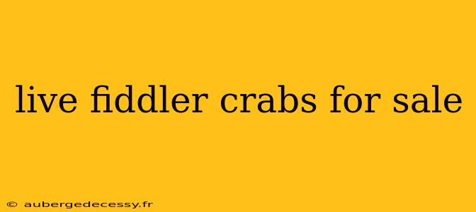 live fiddler crabs for sale