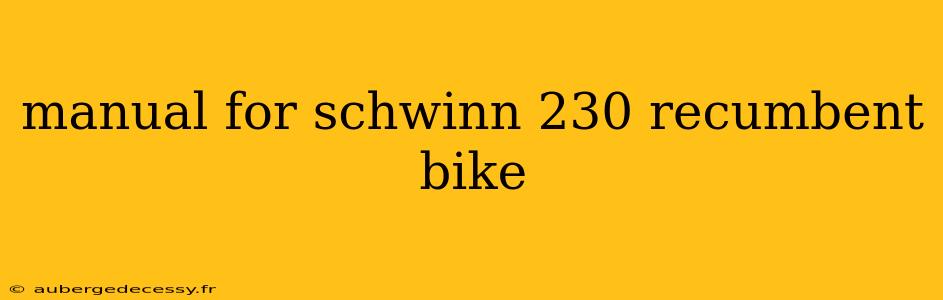 manual for schwinn 230 recumbent bike