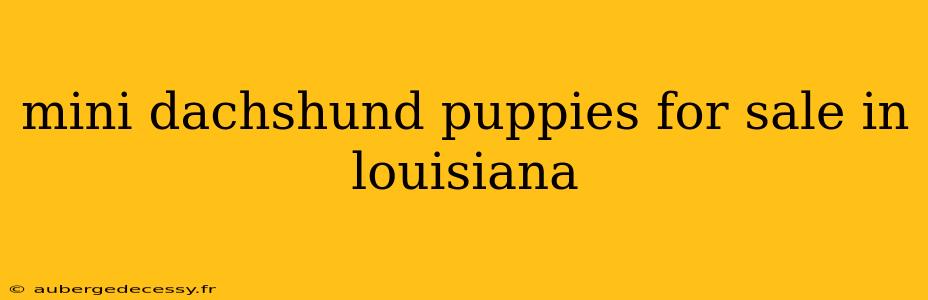 mini dachshund puppies for sale in louisiana