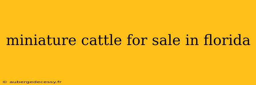 miniature cattle for sale in florida