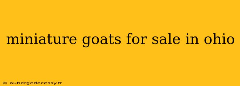 miniature goats for sale in ohio